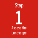 Step 1: Assess the Landscape