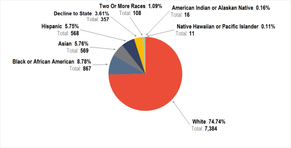 Diversity in the New York City Department of Cultural Affairs Community ...