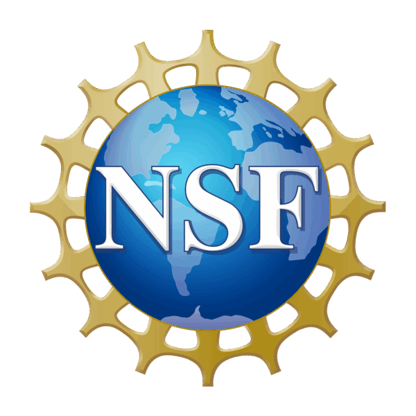 NSF logo
