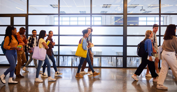 module image: LEARN MORE